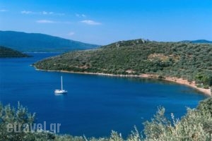 Meltemi_lowest prices_in_Hotel_Central Greece_Fthiotida_Glyfa