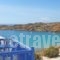 Super Paradise Rooms_accommodation_in_Room_Cyclades Islands_Mykonos_Mykonos Chora