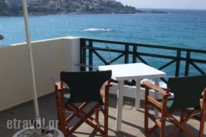 Armenistis View Studios_accommodation_in_Hotel_Aegean Islands_Ikaria_Raches