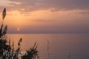 Agrilia Studios_best deals_Hotel_Ionian Islands_Corfu_Afionas