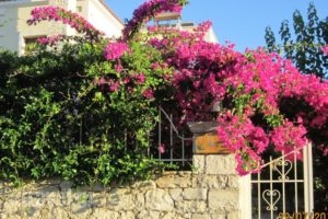 Aloe & Lotus Villas_best deals_Villa_Crete_Rethymnon_Rethymnon City