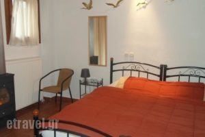 Michel Studios_best prices_in_Hotel_Peloponesse_Achaia_Kalavryta