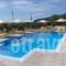 Peristera Apartments_best prices_in_Apartment_Ionian Islands_Kefalonia_Kefalonia'st Areas