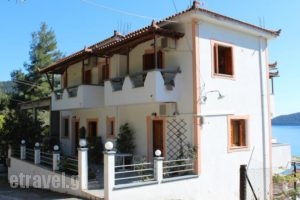 Studio Anna_accommodation_in_Hotel_Sporades Islands_Skopelos_Neo Klima - Elios