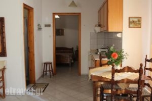 Studio Anna_best prices_in_Hotel_Sporades Islands_Skopelos_Neo Klima - Elios