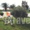 Apolonio_best deals_Hotel_Central Greece_Evia_Limni