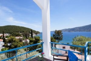 Christine Studios_best deals_Hotel_Piraeus Islands - Trizonia_Poros_Poros Chora