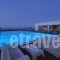 Thalatta Seaside Hotel_best prices_in_Hotel_Central Greece_Evia_Limni