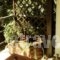 The Garden House_best deals_Hotel_Thessaly_Magnesia_Almiros