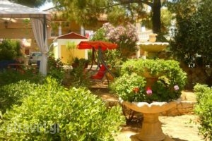 Kuris Apartments_accommodation_in_Apartment_Ionian Islands_Zakinthos_Zakinthos Chora