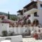 Pleoussa Studio and Apartments_accommodation_in_Apartment_Sporades Islands_Skopelos_Skopelos Chora