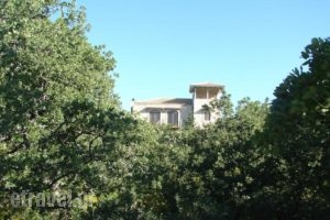 Villa Ermis_best deals_Villa_Crete_Chania_Vryses Apokoronas