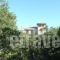 Villa Ermis_best deals_Villa_Crete_Chania_Vryses Apokoronas