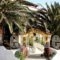 To Oneiro_accommodation_in_Hotel_Cyclades Islands_Kea_Korisia