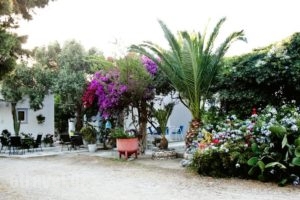 Prasino Oniro_best prices_in_Hotel_Cyclades Islands_Tinos_Tinosora