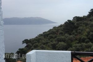 Kapsalis Apartments_accommodation_in_Apartment_Aegean Islands_Samos_MarathoKambos