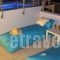 Argiris Studios_best prices_in_Hotel_Cyclades Islands_Sandorini_Fira