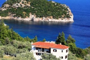 Mando Beachfront_accommodation_in_Hotel_Sporades Islands_Skopelos_Skopelos Chora