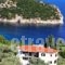 Mando Beachfront_accommodation_in_Hotel_Sporades Islands_Skopelos_Skopelos Chora