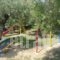 Bungalows Camping Kouyoni_best prices_in_Hotel_Macedonia_Halkidiki_Poligyros