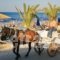 Manolis Family_best deals_Hotel_Crete_Chania_Georgioupoli