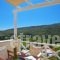 Anemomiloi Studios_accommodation_in_Hotel_Cyclades Islands_Andros_Andros City