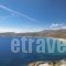 Greco Philia Hotel Boutique Mykonos_best deals_Hotel_Cyclades Islands_Mykonos_Elia