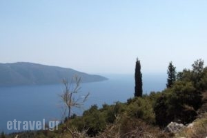 Villa Agapi Mou_lowest prices_in_Villa_Ionian Islands_Kefalonia_Vlachata