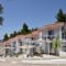 Milia Apartments_accommodation_in_Apartment_Sporades Islands_Skopelos_Skopelos Chora