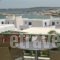 Adonis Hotel Studios & Apartments_best deals_Apartment_Cyclades Islands_Paros_Paros Chora