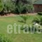 Delfini_best deals_Hotel_Central Greece_Viotia_Livadia