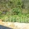 Villa Pelagia_best deals_Villa_Ionian Islands_Corfu_Corfu Rest Areas