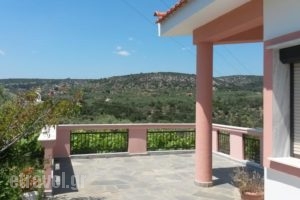 Studios Anastasia 1_holidays_in_Hotel_Aegean Islands_Thassos_Thassos Chora