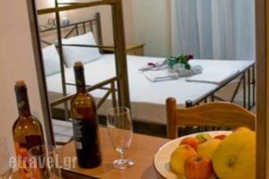 Studios Lampiris_best prices_in_Hotel_Aegean Islands_Thasos_Potos