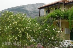 Studio Popi_travel_packages_in_Aegean Islands_Samos_Marathokambos