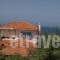 Villa Tzivras_lowest prices_in_Villa_Ionian Islands_Kefalonia_Argostoli