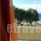 Effi Apartments_accommodation_in_Apartment_Crete_Chania_Platanias