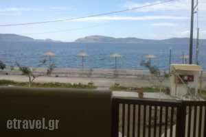 Ktima Develekou_lowest prices_in_Hotel_Peloponesse_Argolida_Kranidi