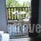 Alexandros Apartments_best deals_Apartment_Macedonia_Halkidiki_Nea Moudania