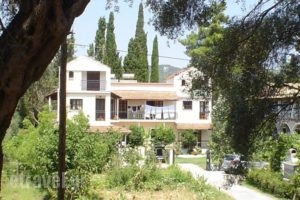 Georgina Apartments_accommodation_in_Apartment_Ionian Islands_Corfu_Corfu Rest Areas