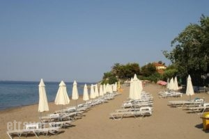 Bungalows Camping Kouyoni_holidays_in_Hotel_Macedonia_Halkidiki_Poligyros