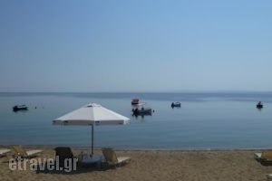 Bungalows Camping Kouyoni_accommodation_in_Hotel_Macedonia_Halkidiki_Poligyros