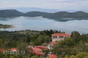 Thea Guesthouse_holidays_in_Hotel_Thessaly_Karditsa_Neochori