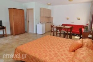 Elia Studios_lowest prices_in_Hotel_Aegean Islands_Thasos_Thasos Chora