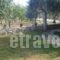 Studios Elianthos_best prices_in_Hotel_Macedonia_Kavala_Kavala City