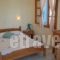 Karabatsis Studios_accommodation_in_Hotel_Cyclades Islands_Naxos_Agios Prokopios