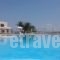 Karma Porto Paros_accommodation_in_Hotel_Cyclades Islands_Paros_Paros Chora