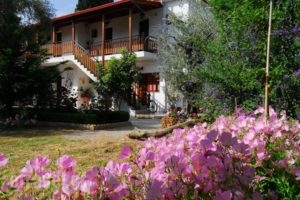 Vergonis Studios_holidays_in_Hotel_Thessaly_Magnesia_Trikeri