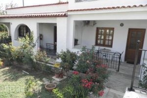 Amalia Studios_lowest prices_in_Hotel_Sporades Islands_Skiathos_Skiathos Chora