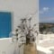 Paros Traditional Houses_best deals_Hotel_Cyclades Islands_Paros_Paros Chora